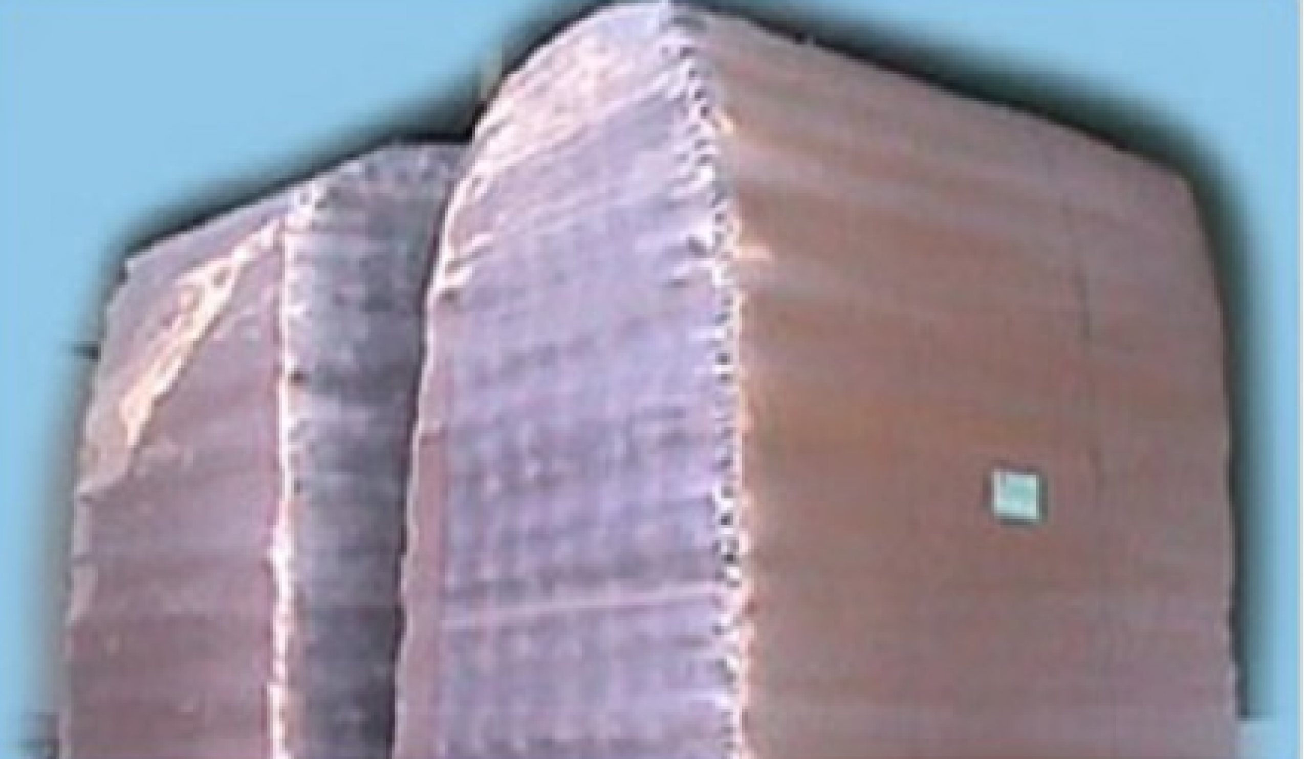 ['image'][2]