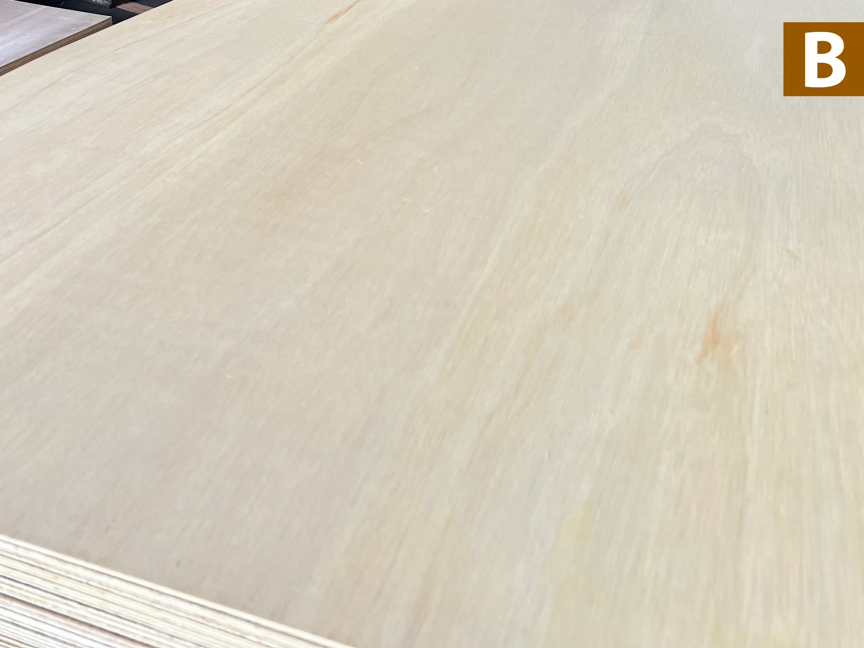 flooring Plywood