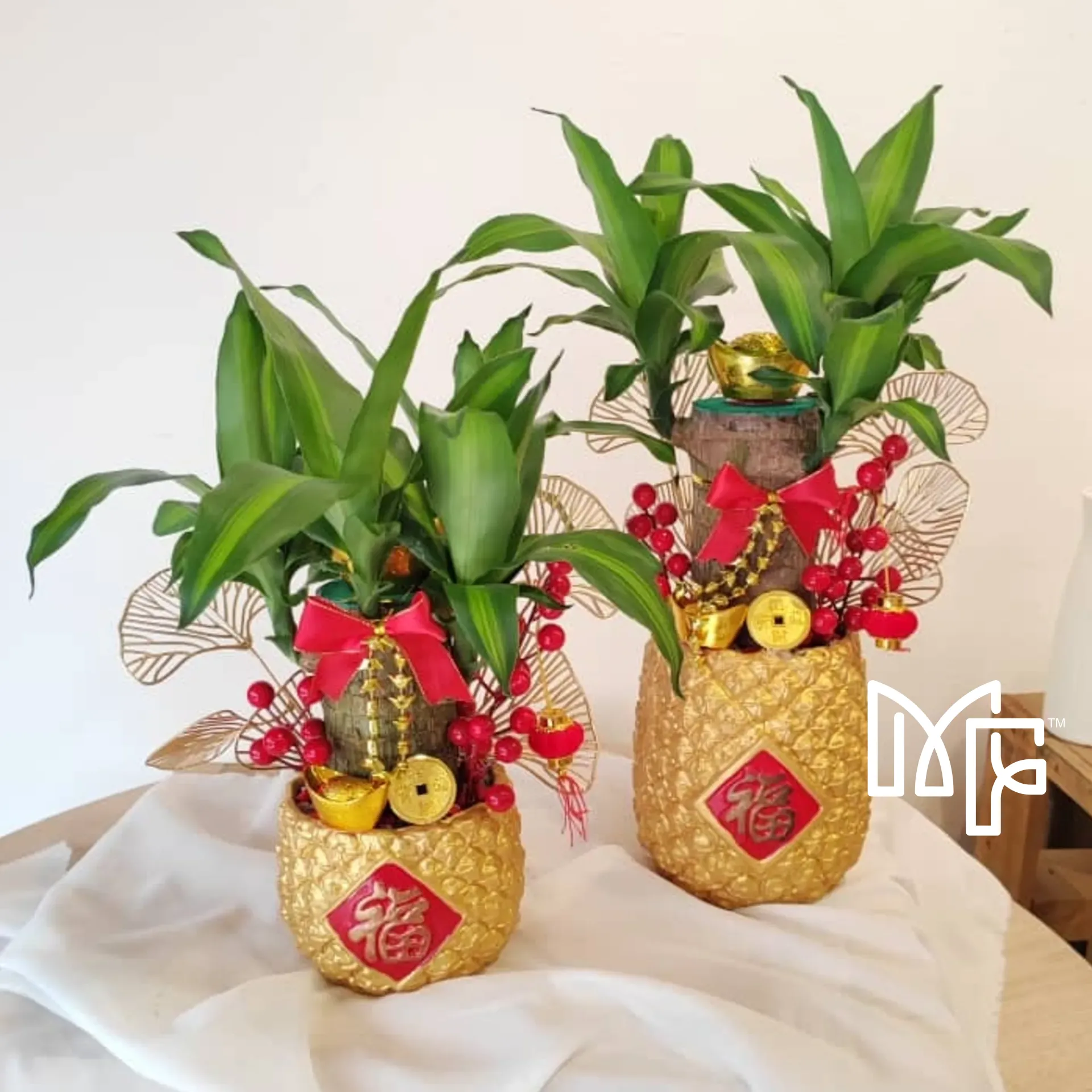 2025 Snake Year Lucky Plant