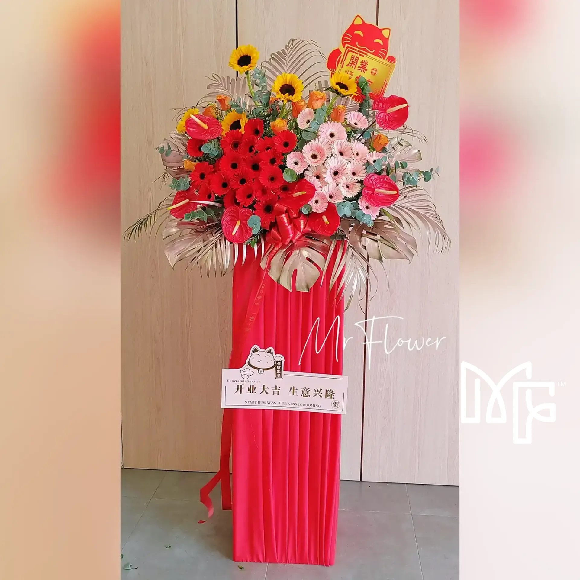 Anthurium Accord