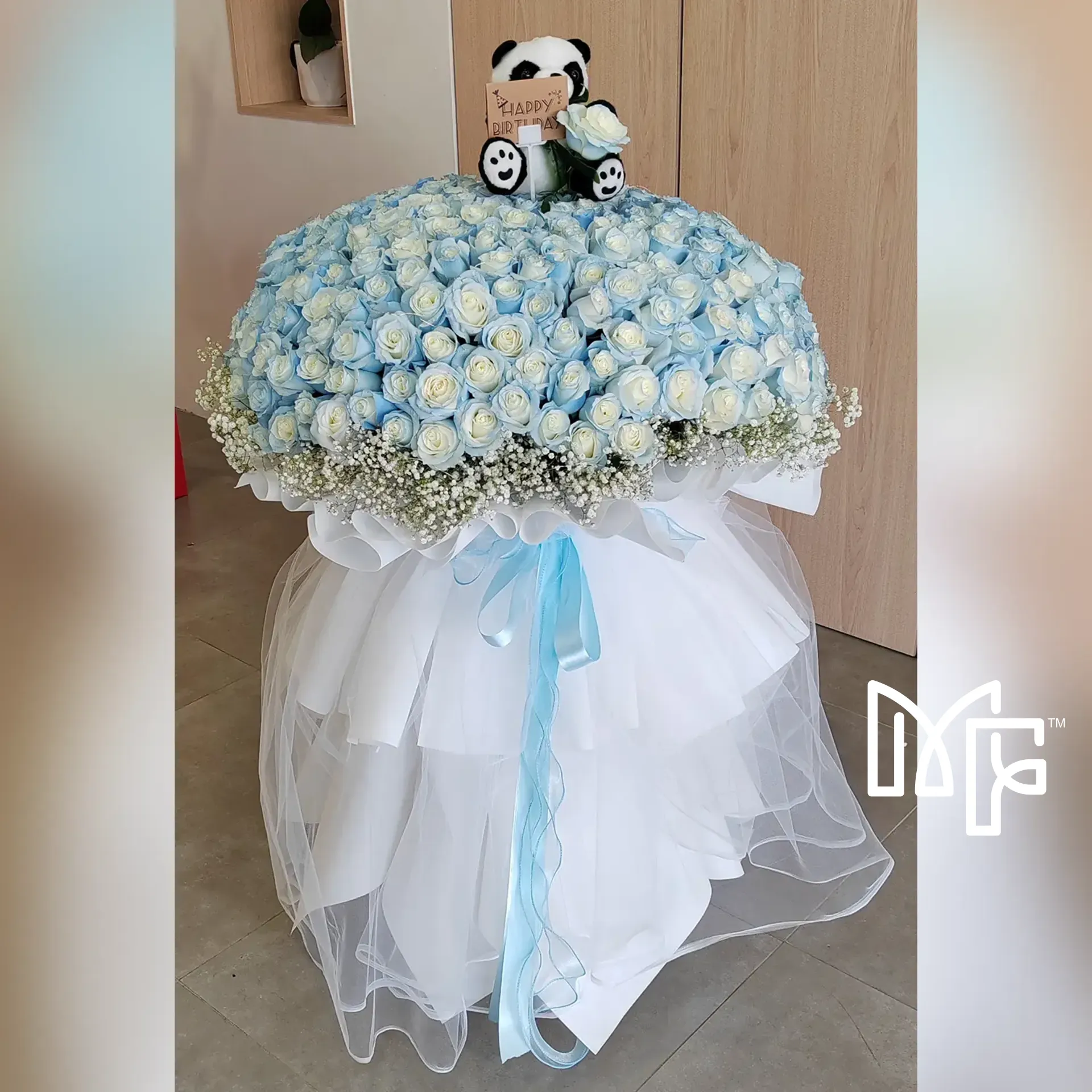 Aurora's Embrace
