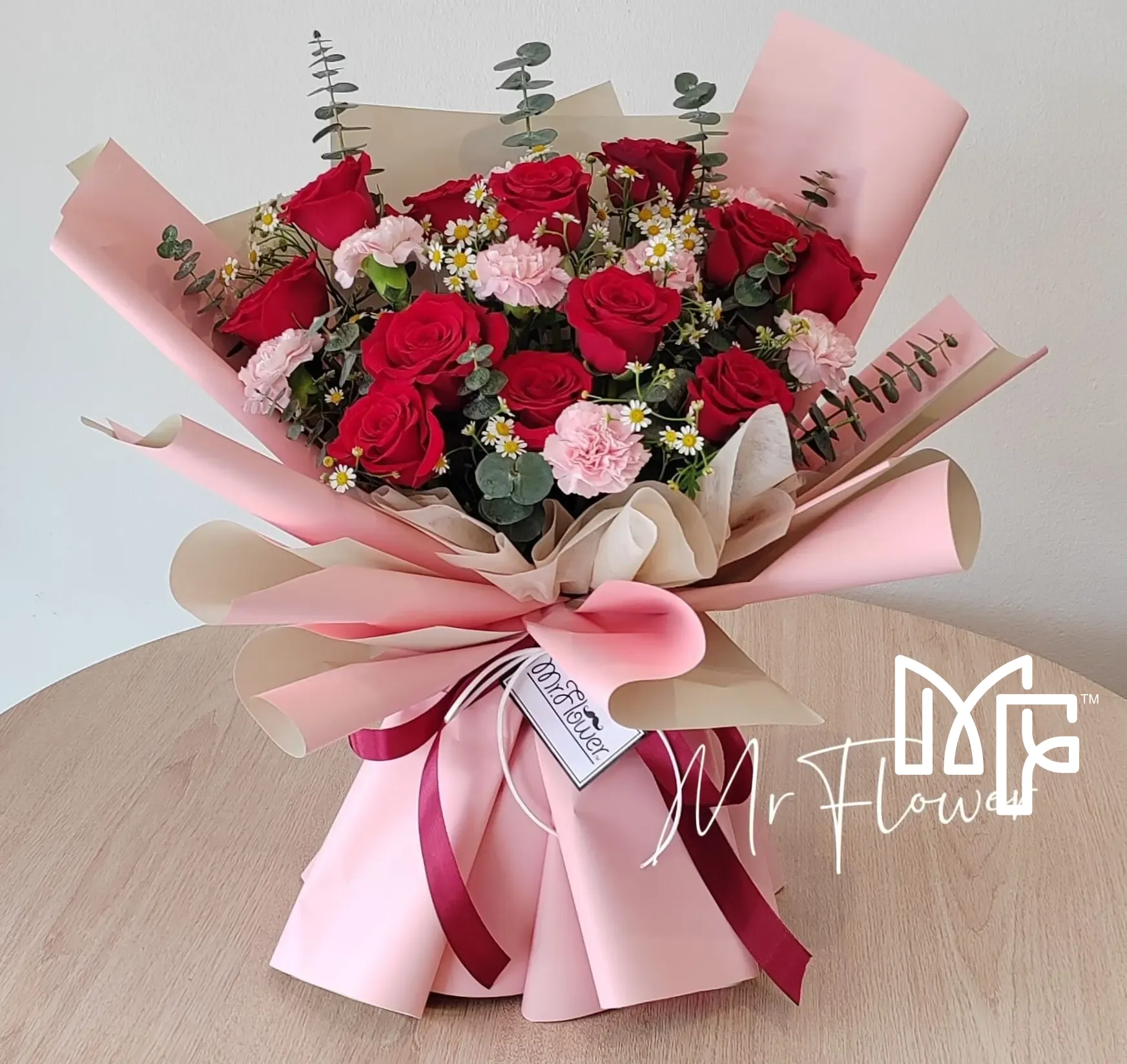 Carnation Caress