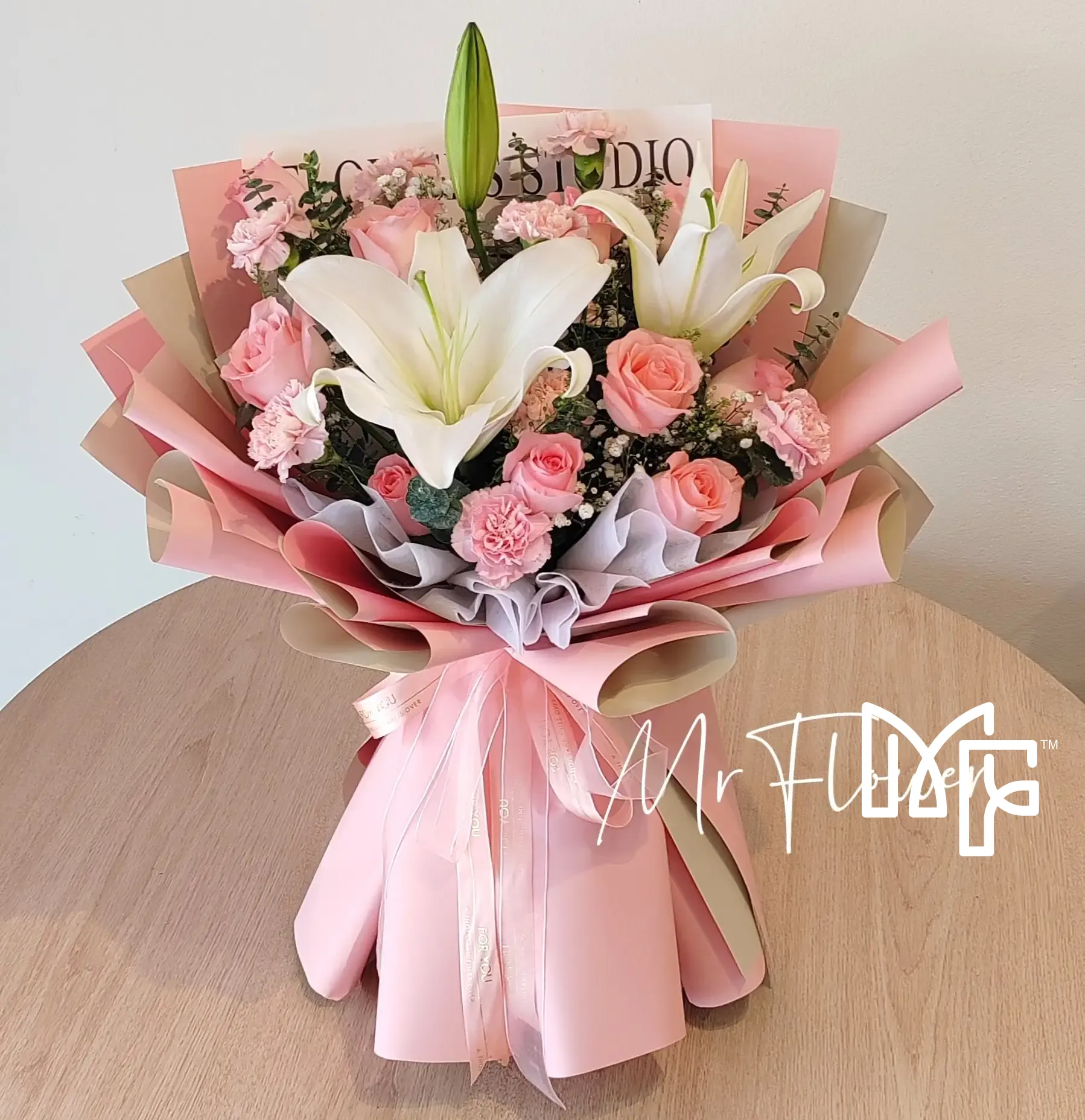 Carnation Dawn