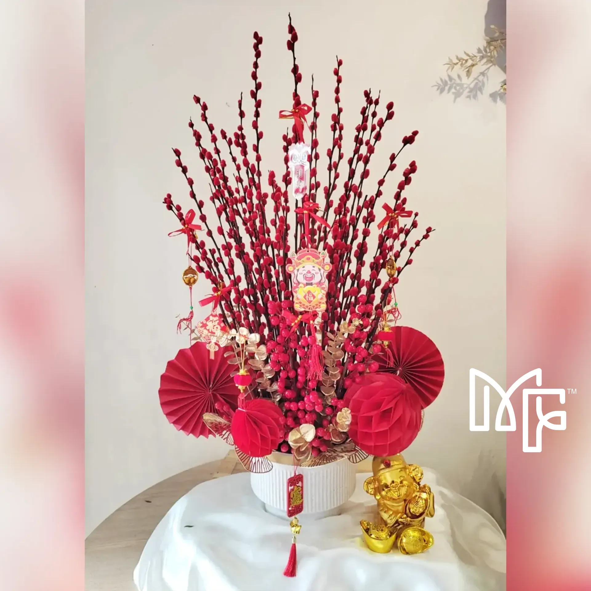 CNY Salix Argyracea Elegance 100cm