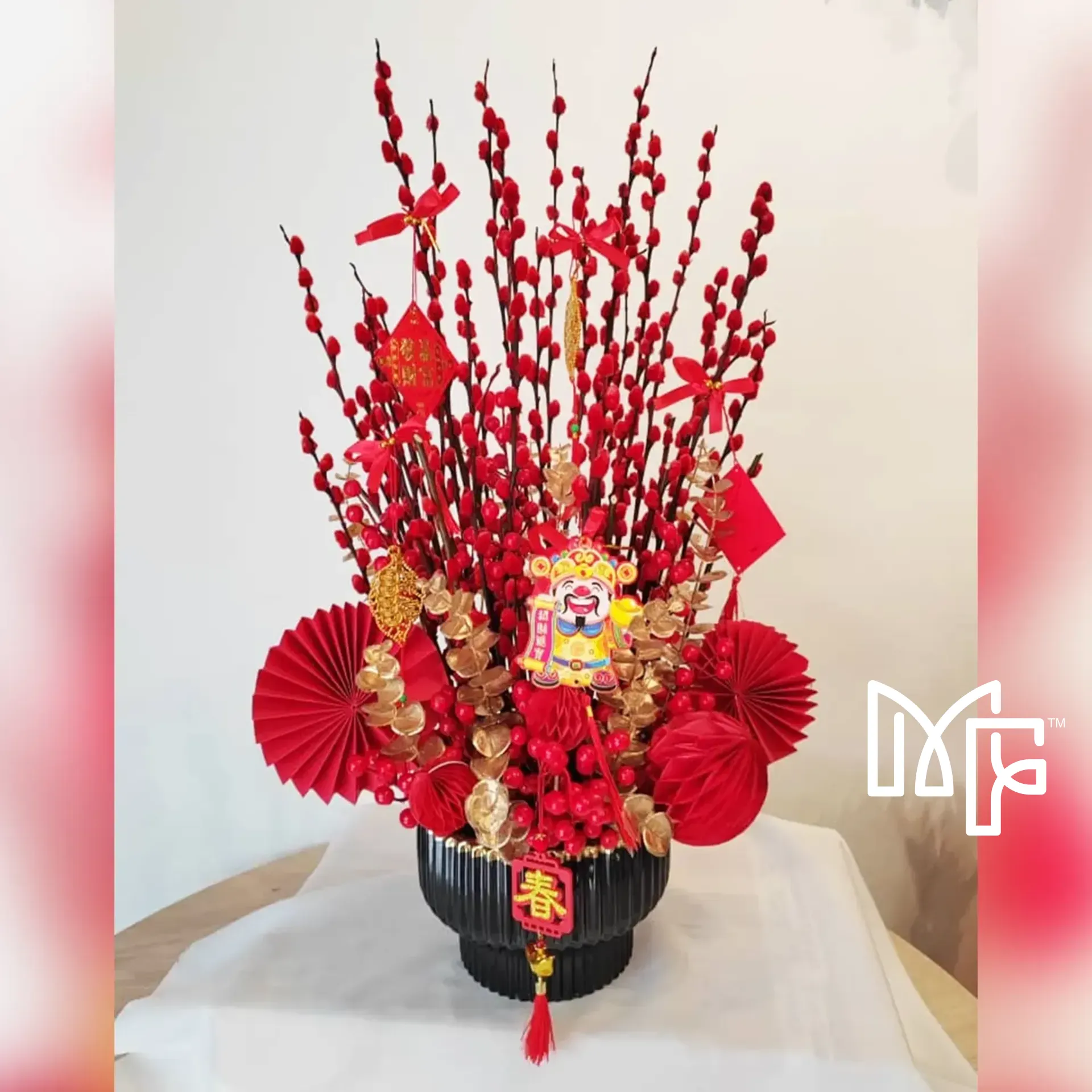 CNY Salix Argyracea Elegance 70cm