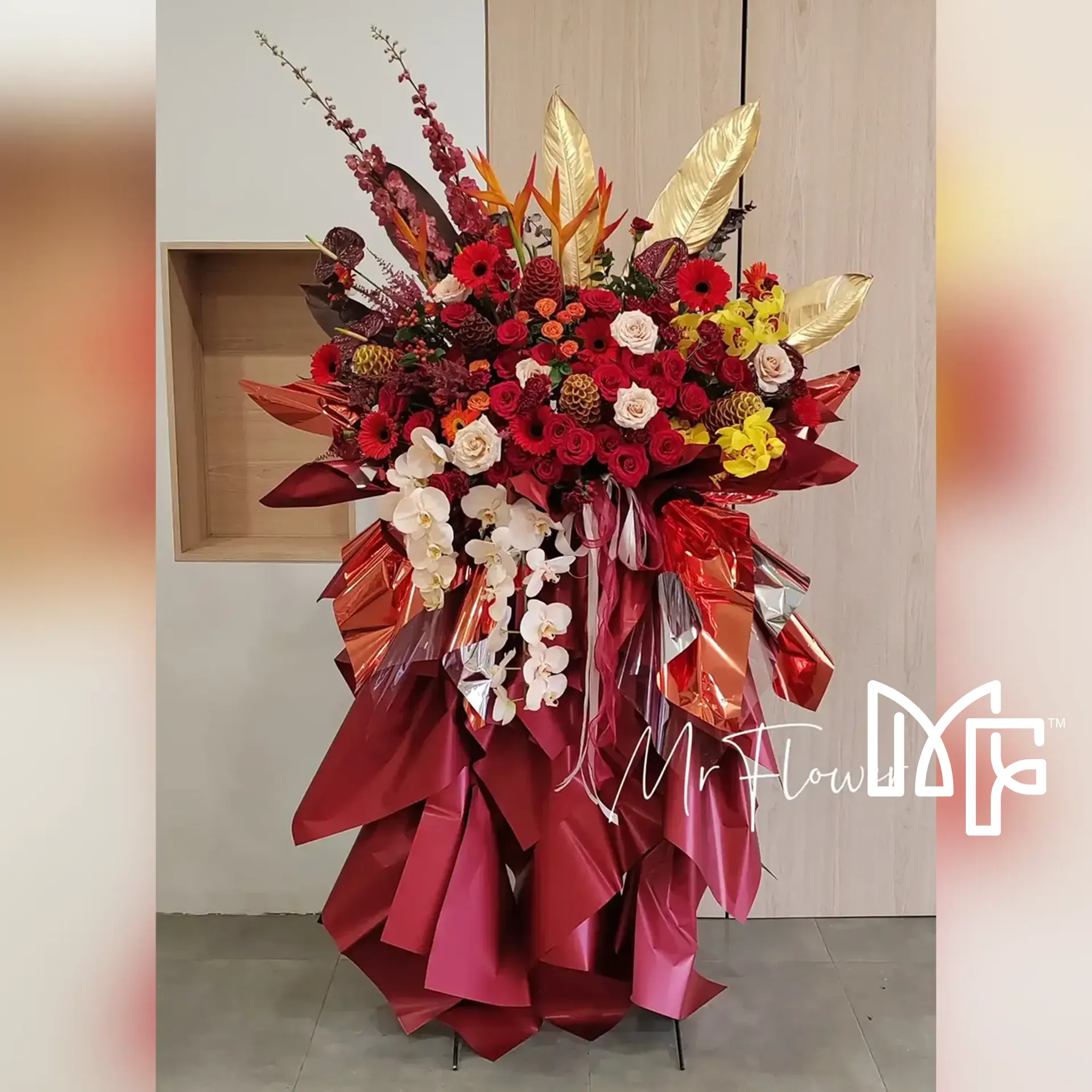 Cymbidium Crescendo