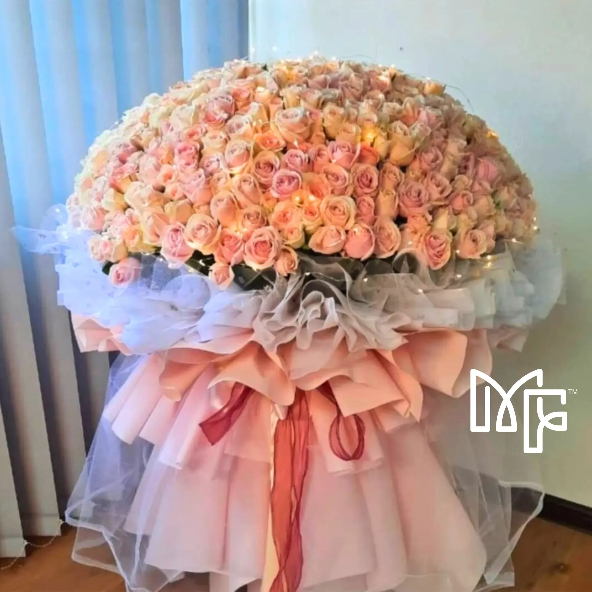 Endless Affection Devotion (520 Roses)