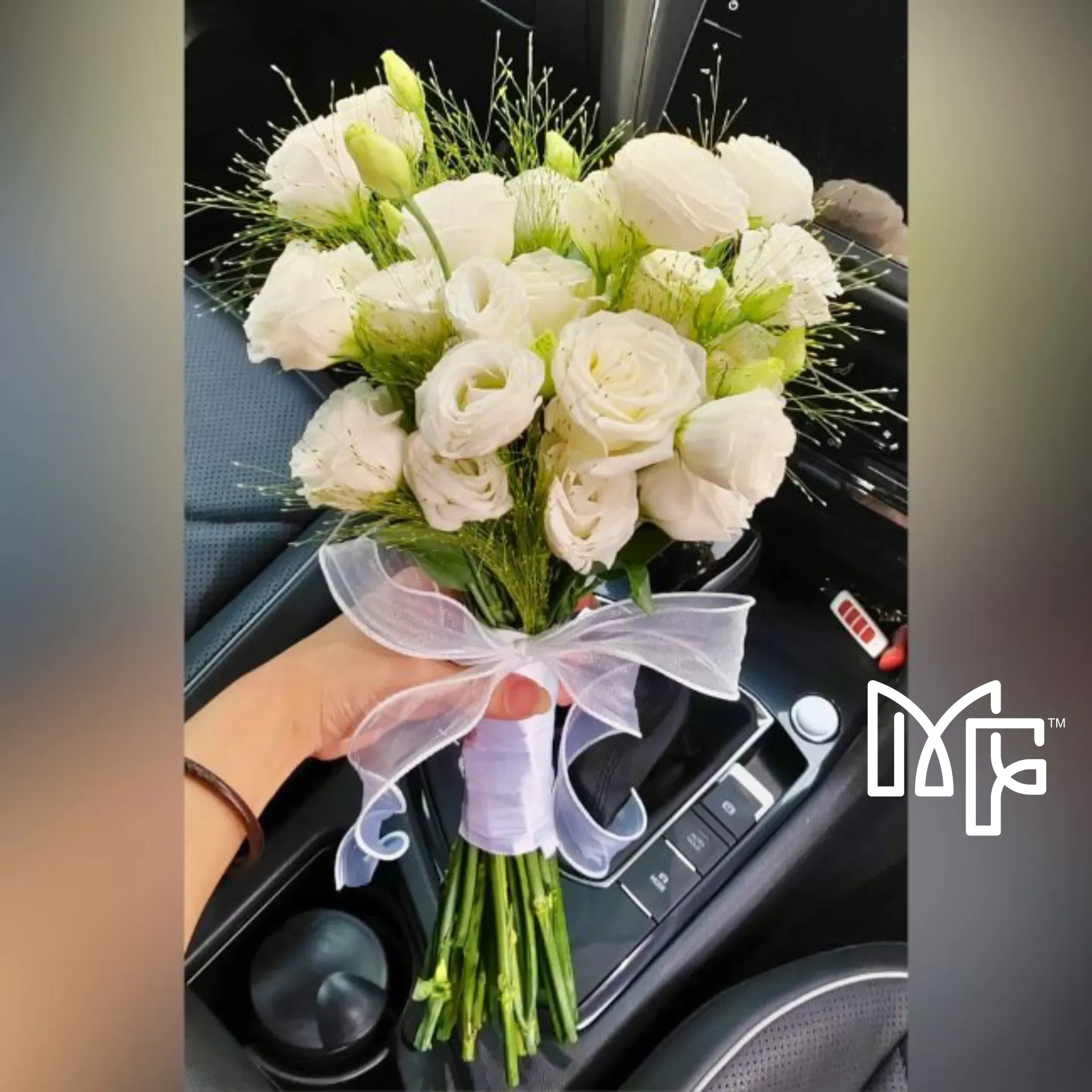 Eustoma Bliss