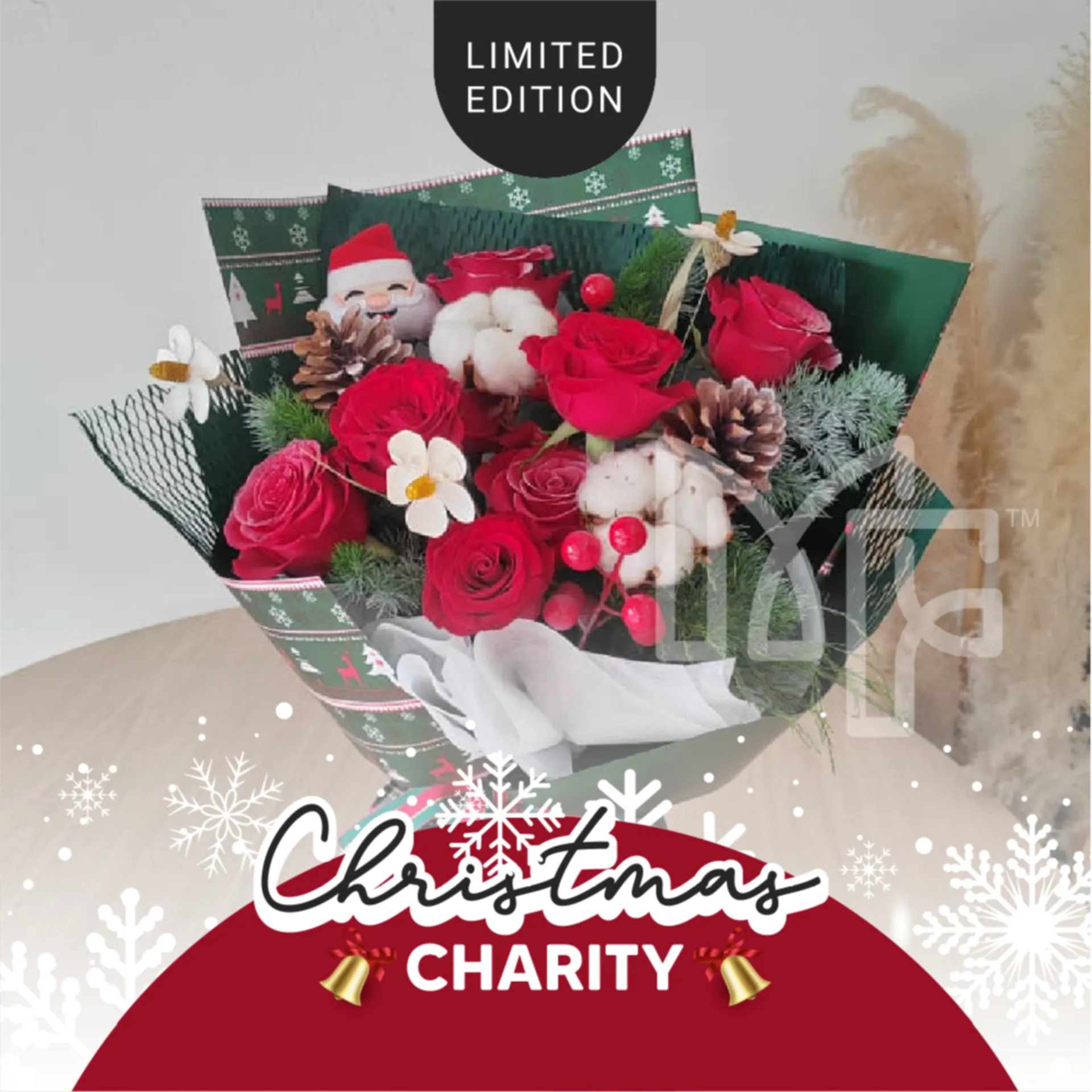 Festive Santa Rose Bliss — photo 4