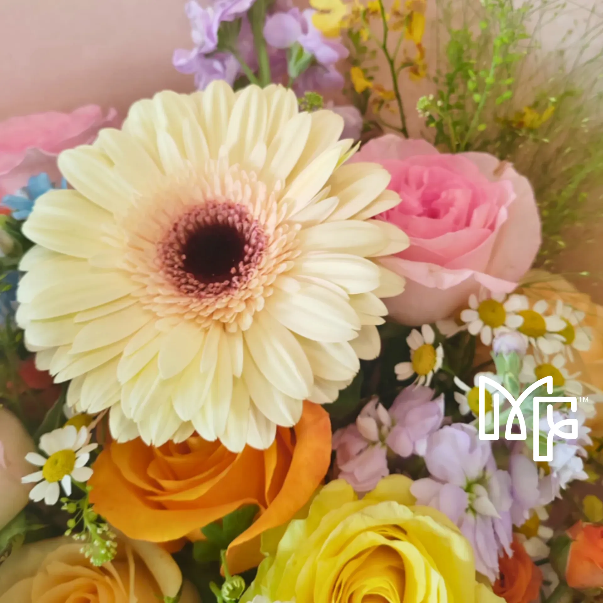 Joy Bloom