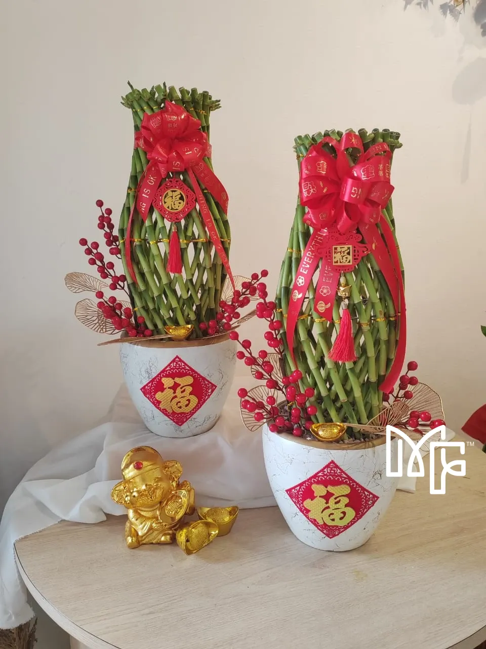 Lucky Bamboo Blessing 60cm