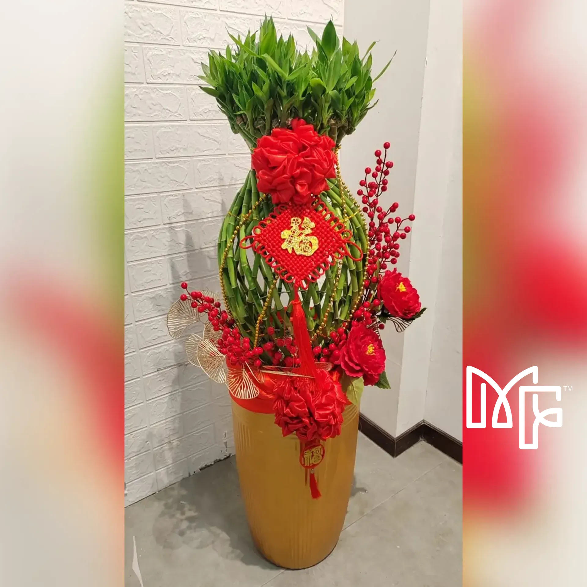 Lucky Bamboo Blessings 120cm