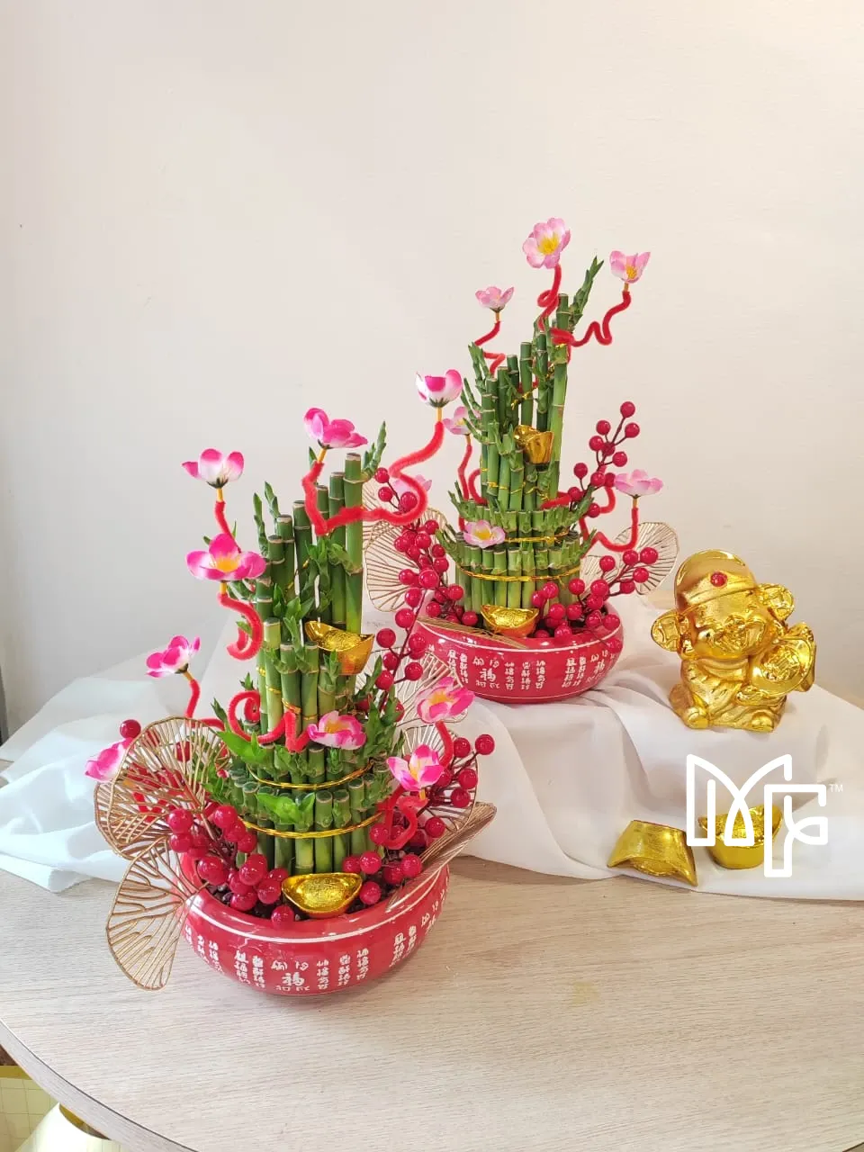 Lucky Bamboo Delight 45cm