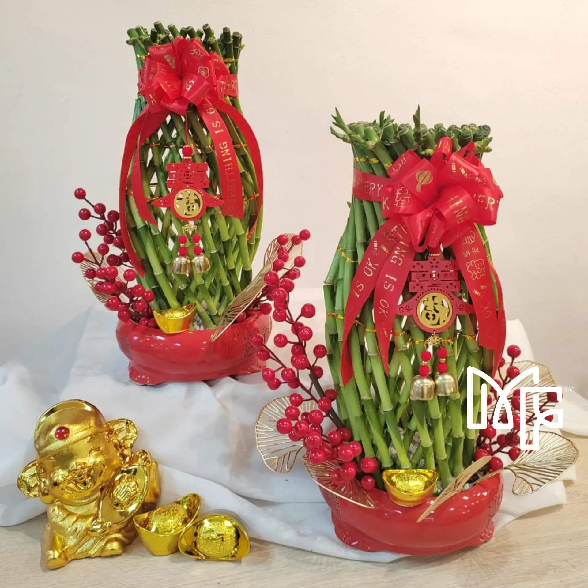 Lucky Bamboo Prosperity 40cm