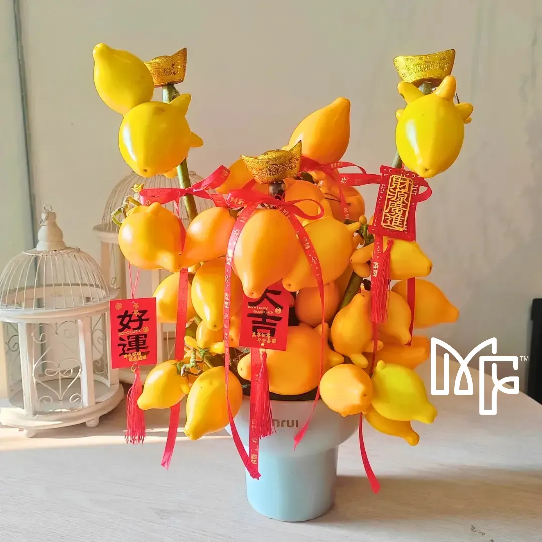 Mini Solunium Arrangement — photo 3