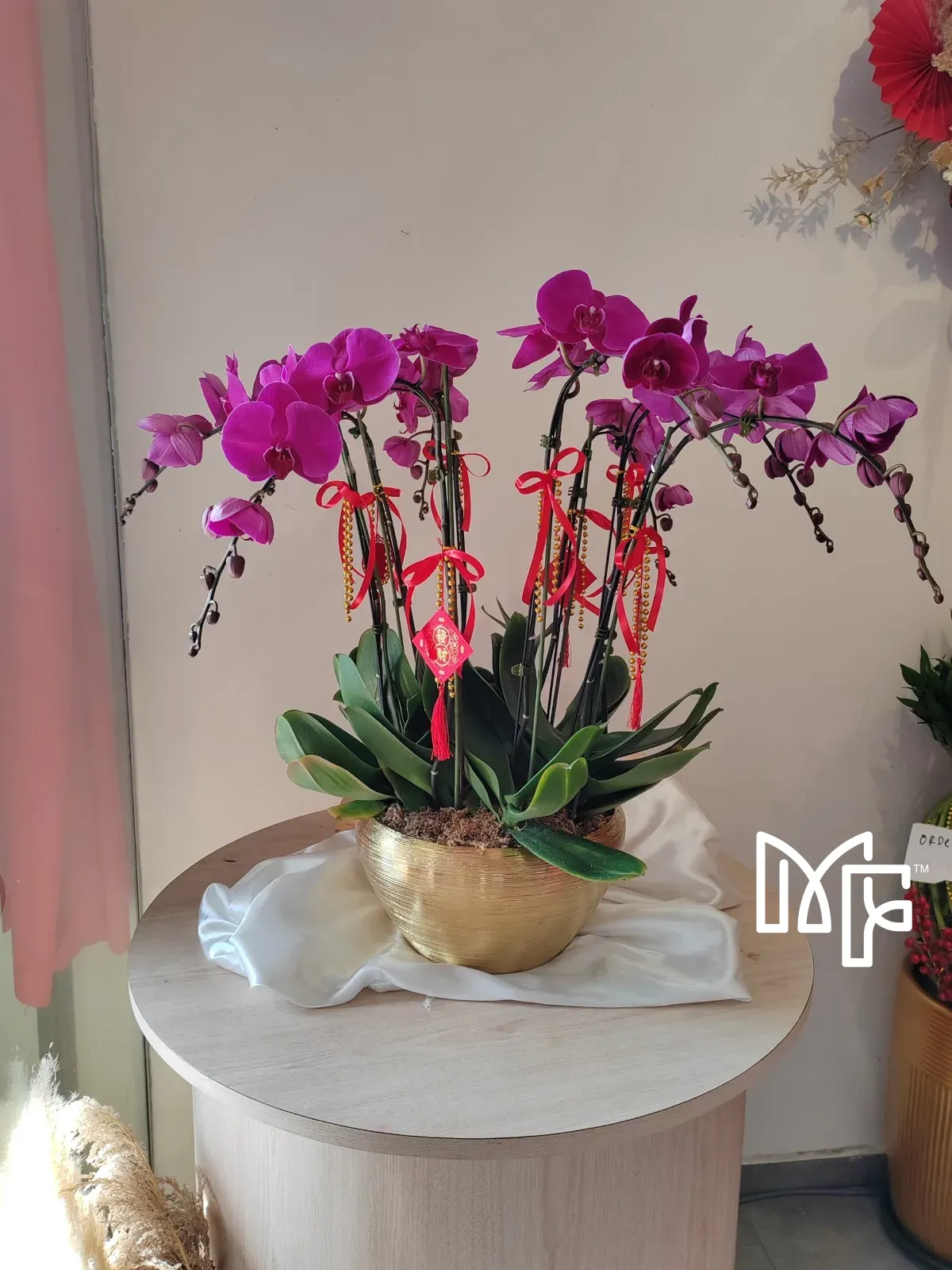 Purple Phalaenopsis Delight