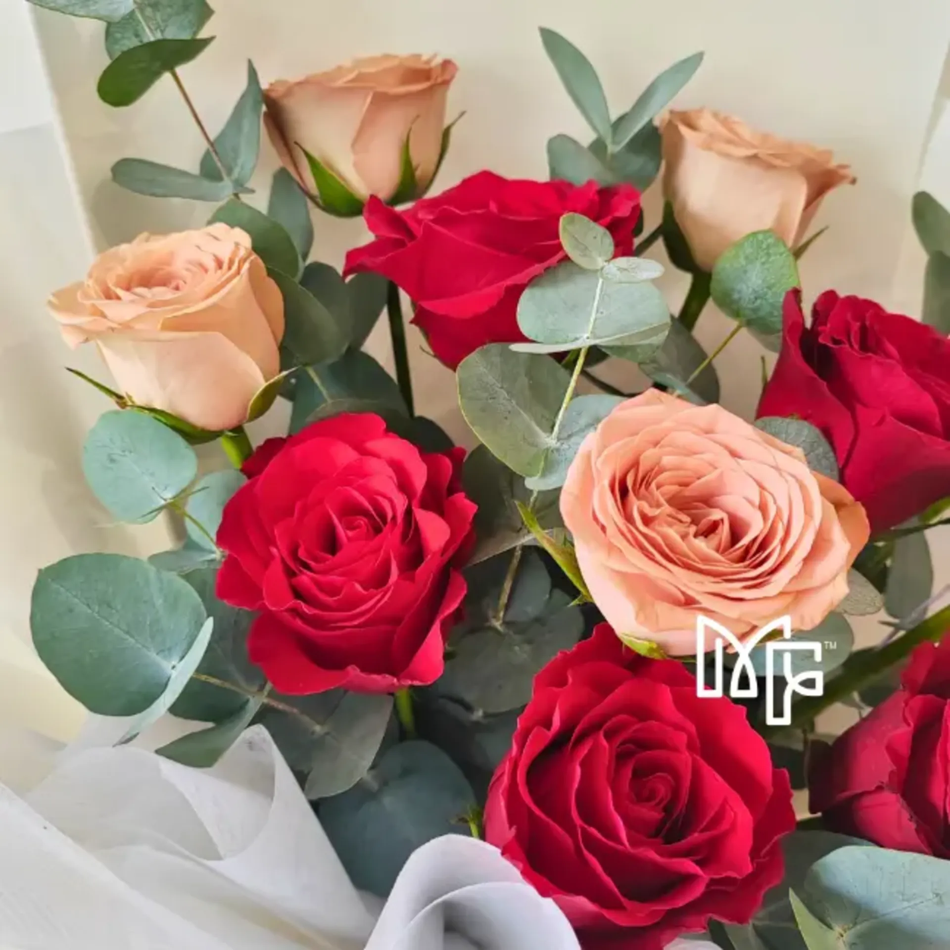 Romance Crimson — photo 4
