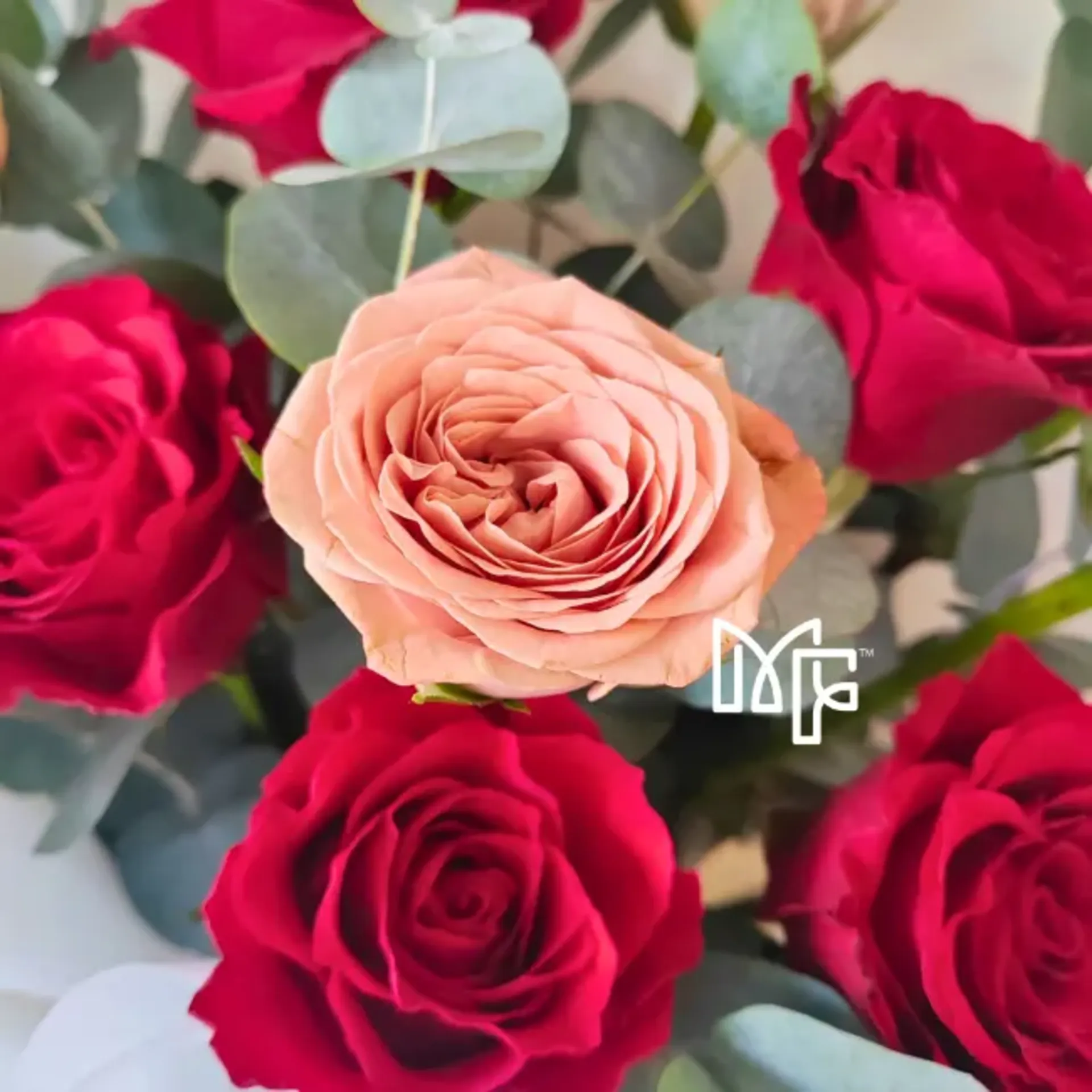 Romance Crimson — photo 3