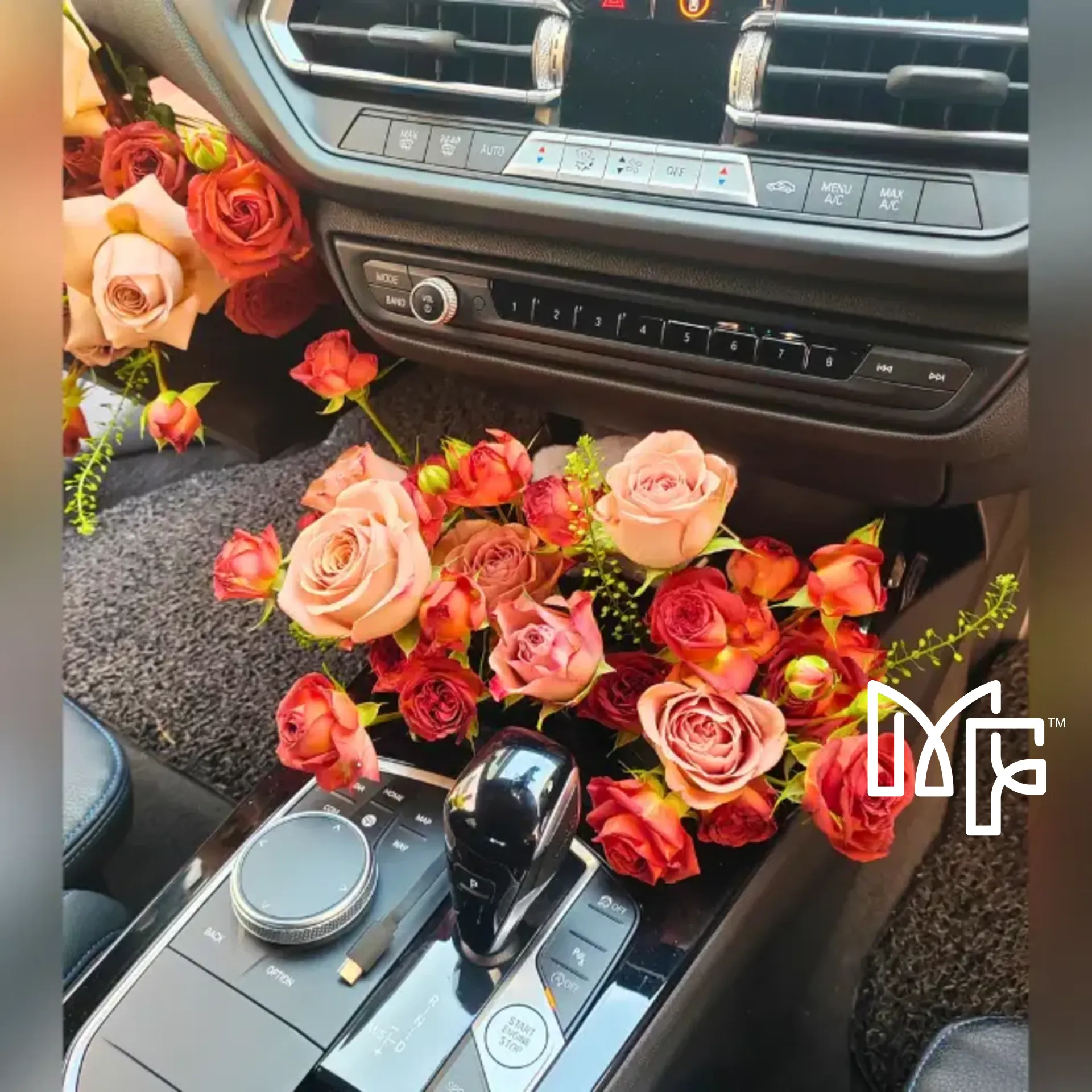 Romantic Drive